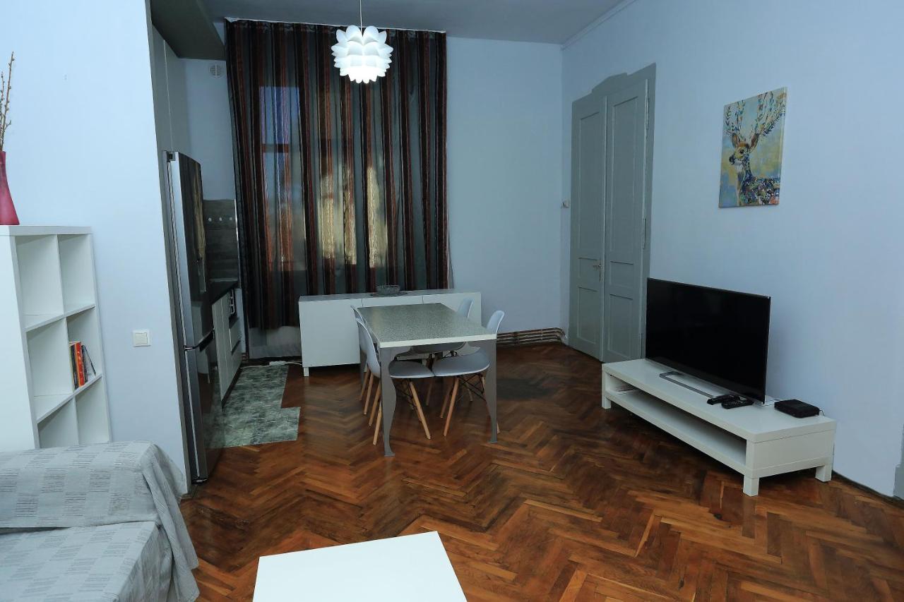 קלוז'-נאפוקה Napoca Central Apartment מראה חיצוני תמונה